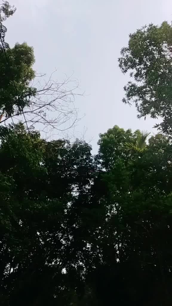 @Vicky123 💚❤️