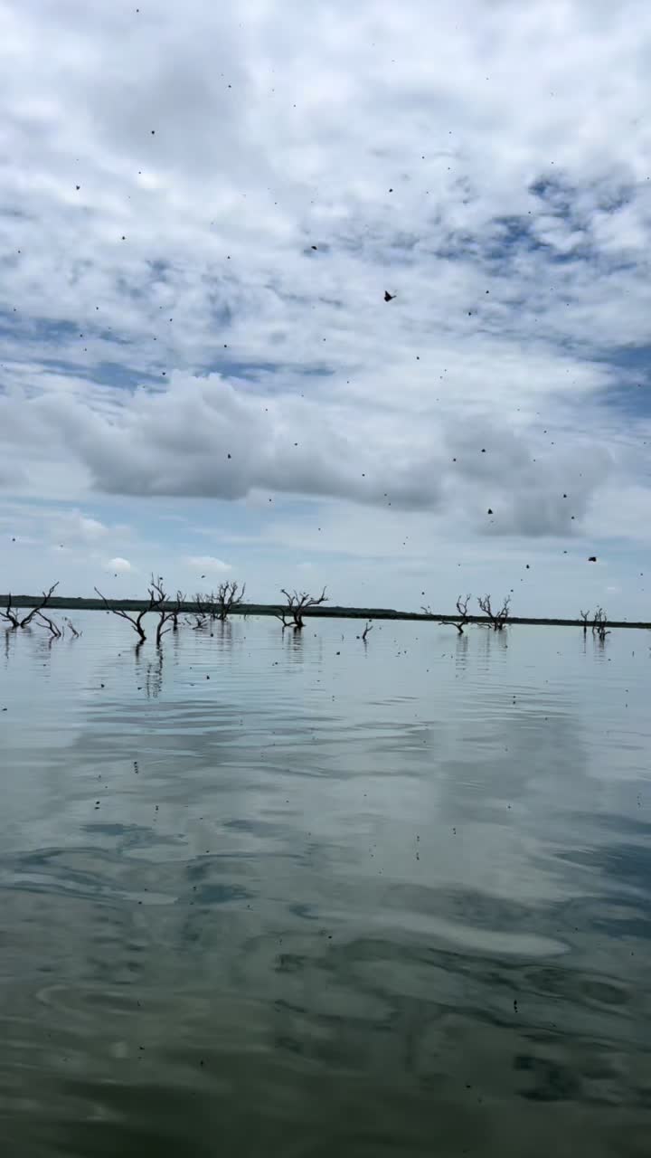 @PESCANDO AVENTURAS CON RAFA