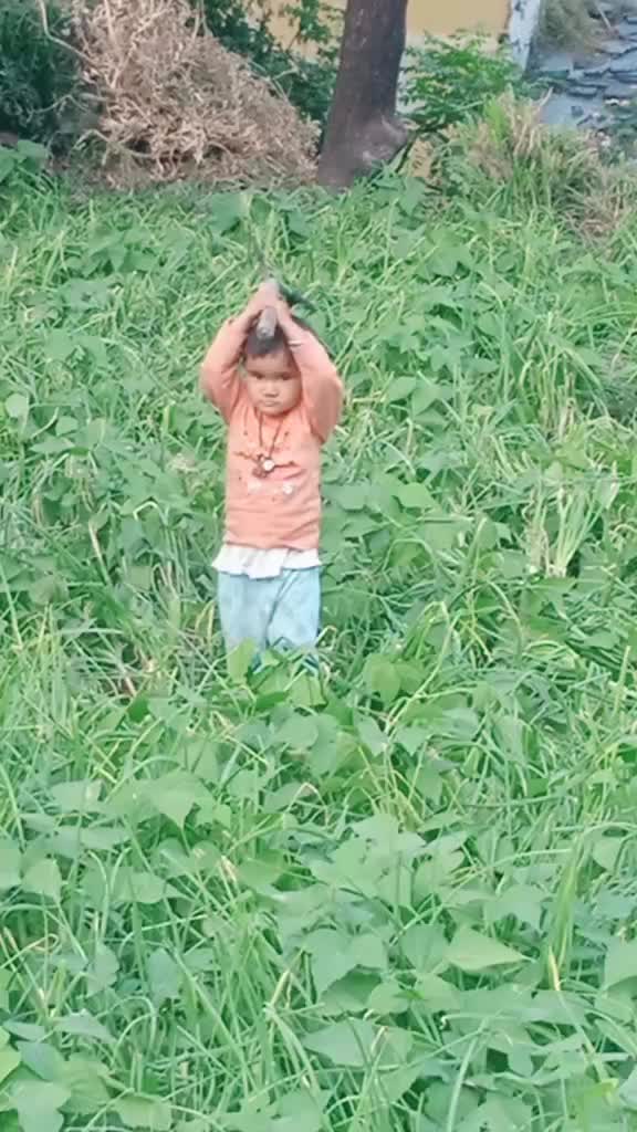 @Udaysingh Chauhan