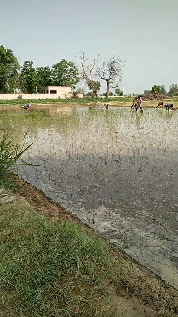 @user2550699394368