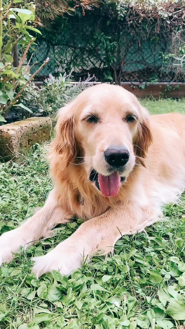 @🐶PENNY🐶