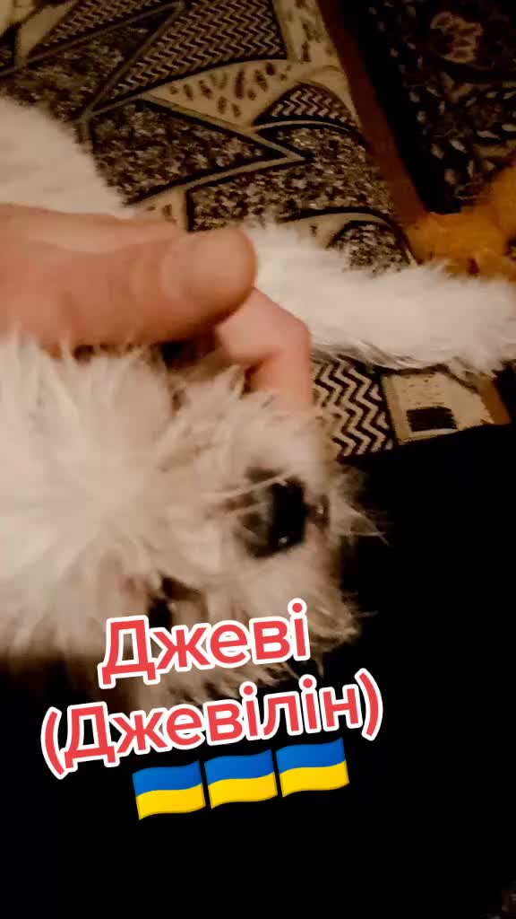 @tetyanaurivna