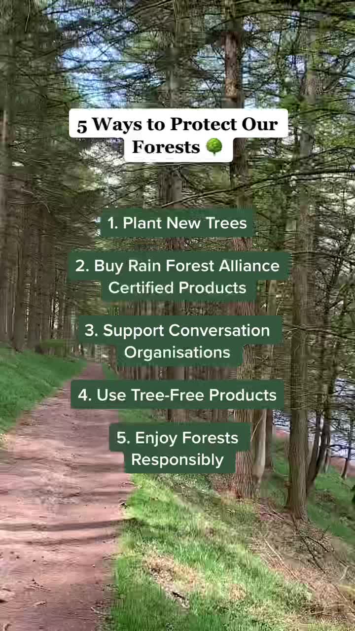 @eeko 🌎🌿