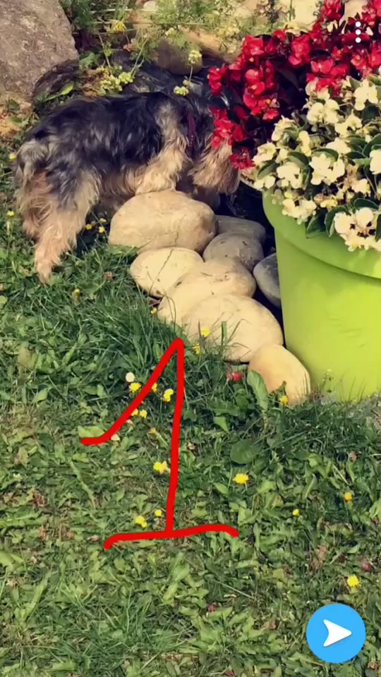 @🐾lïstãïl🐾