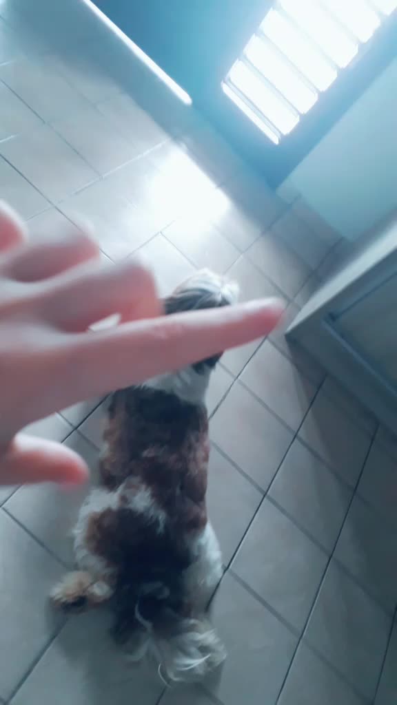 @๐๐ธ๐ท๐ธ๐