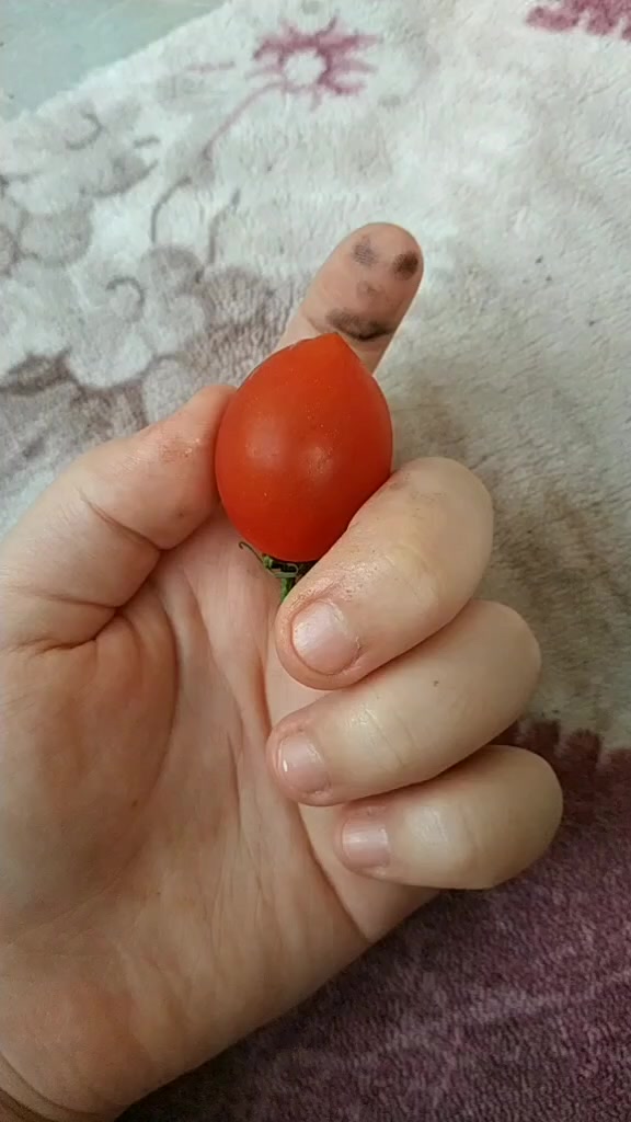 @&Ouml;znur Efil