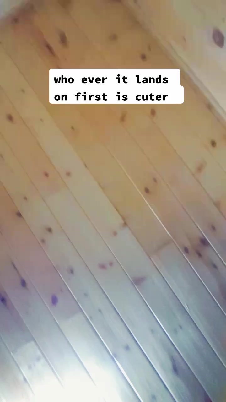 @aesthetic panda