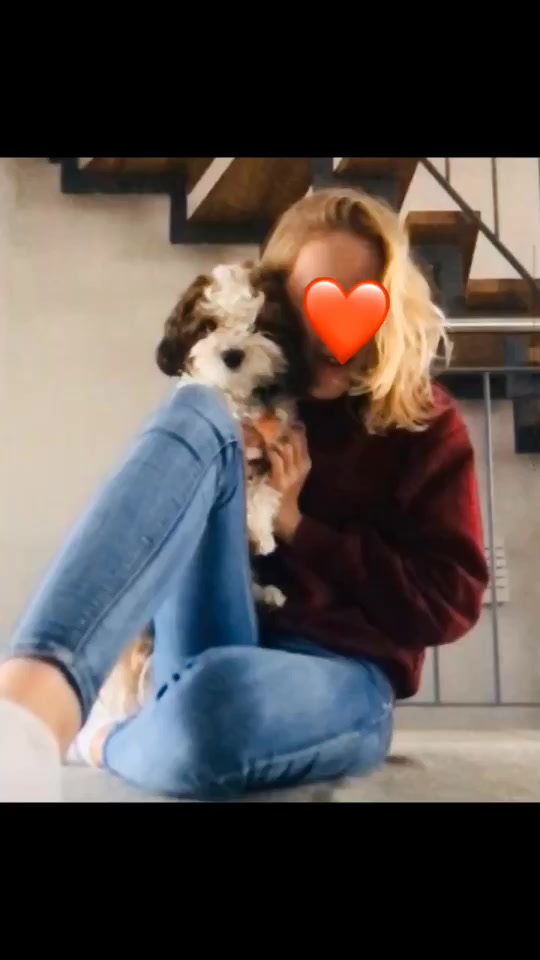 @Engel_auf_4_Pfoten💖