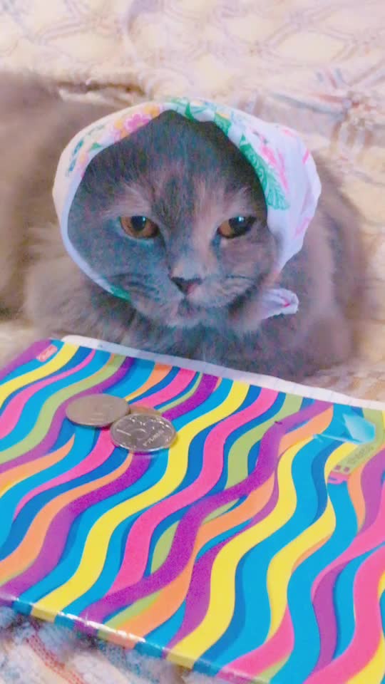 @ЖИТЬ рекомендациях✨