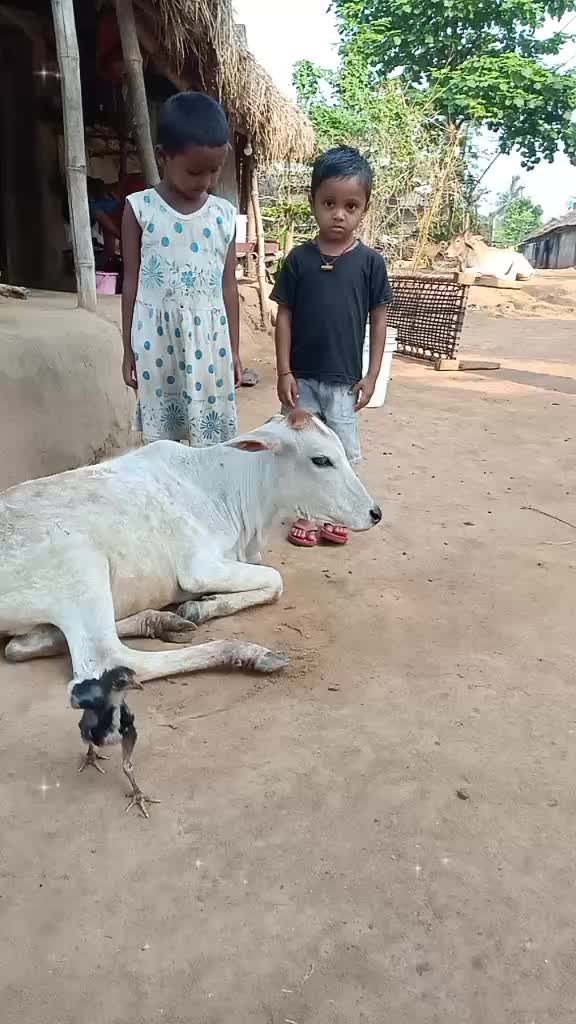 @Raju Mohanta