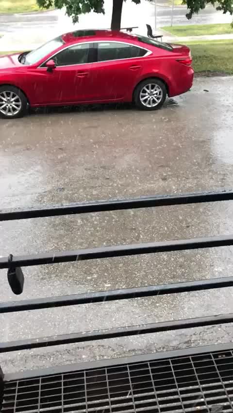 @Mani Kang