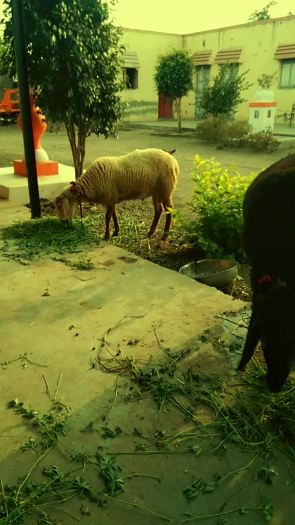 @सागर खोमणे पाटील
