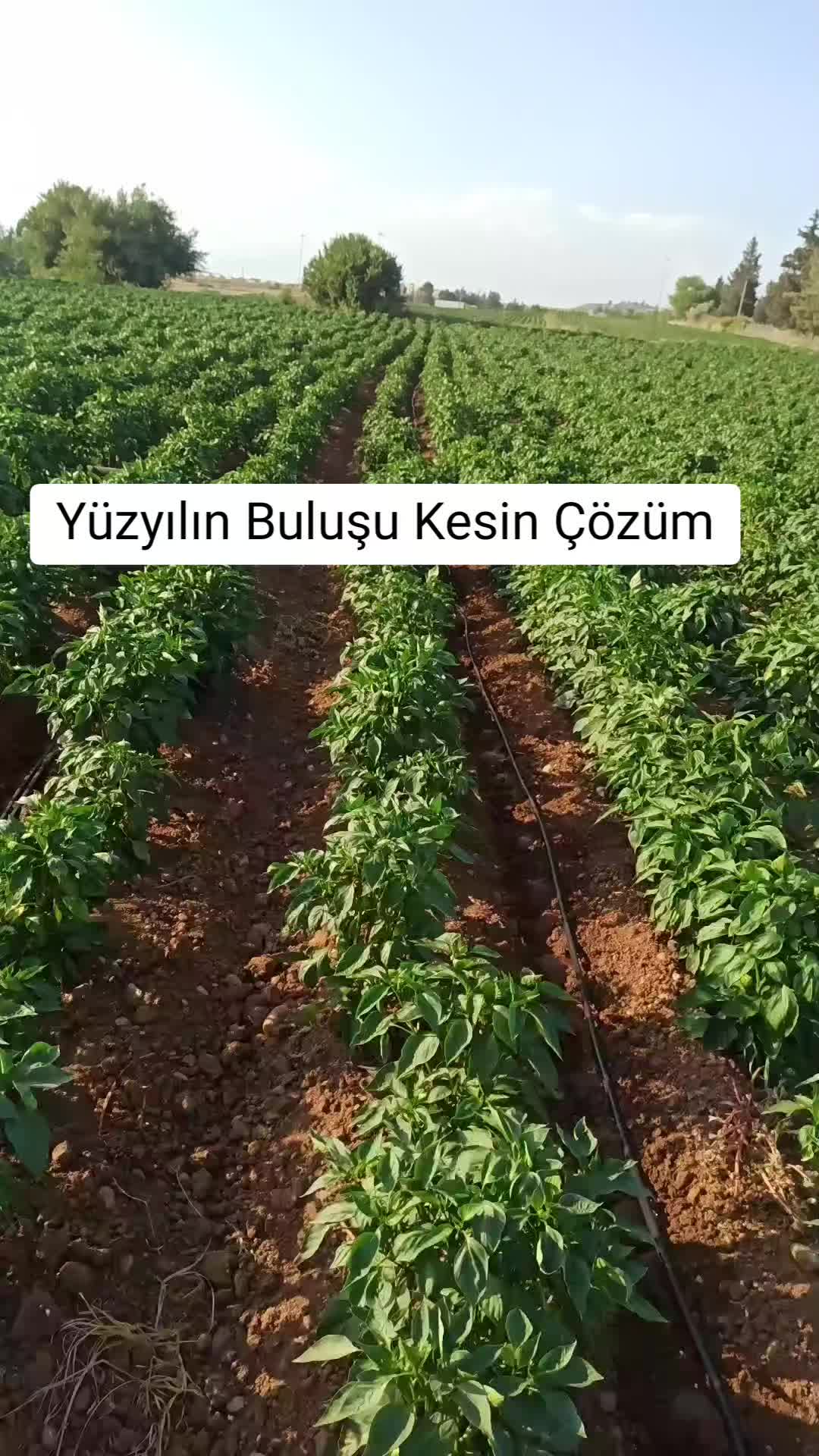 @🇹🇷Süleyman Özkan🇹🇷