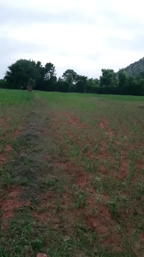 @Harish Daasa