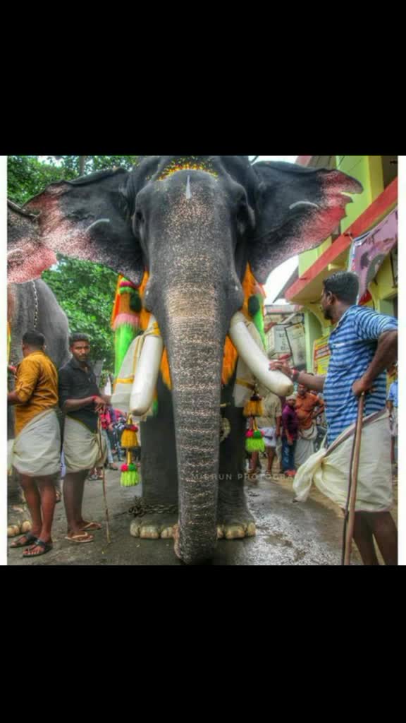@Akash Kukku