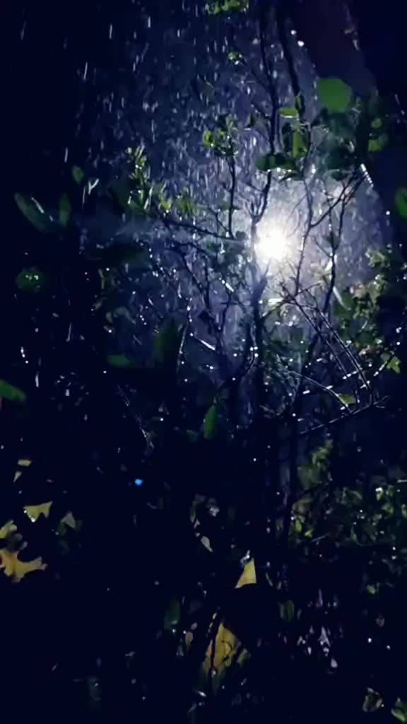 @DOLIKA BHARDWAJ