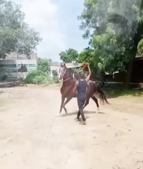 @🏇Sonu rider🏇