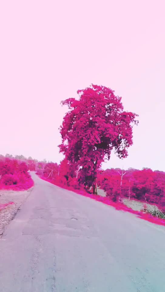 @Sunil Bawane