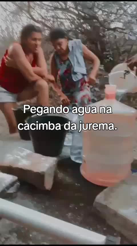 @maria José Soares