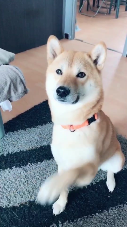@YoyoDubs