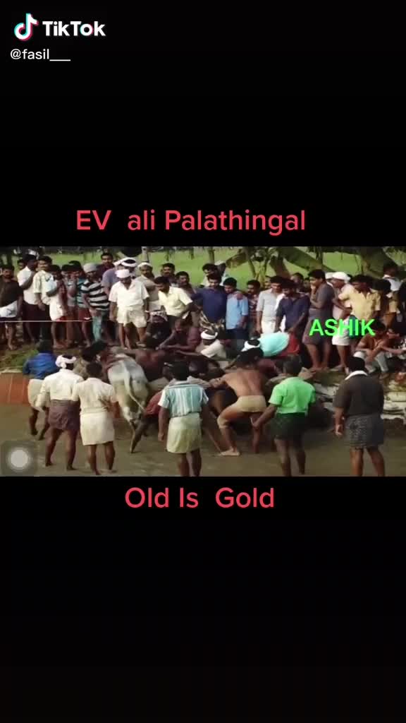 @fasil ... pv