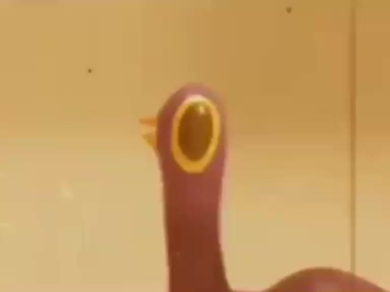 @Squirrelhunterz