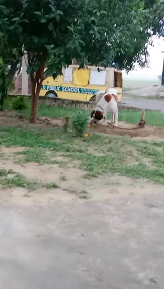 @Shubh Yadav249