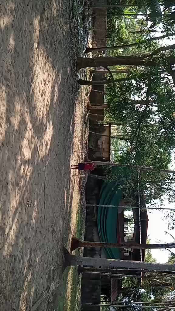 @AADISESHAN