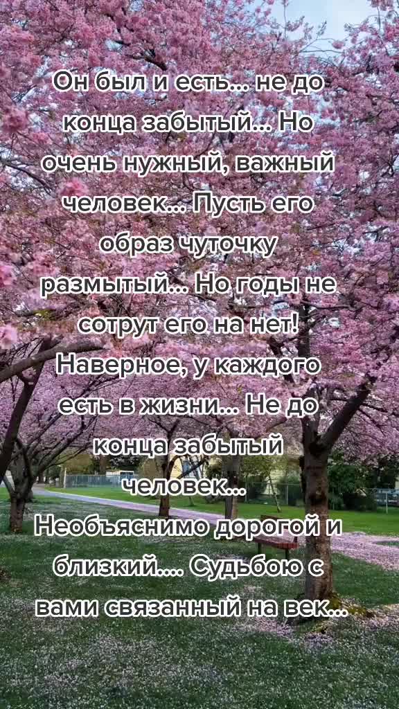 @🌺Анюта🌺