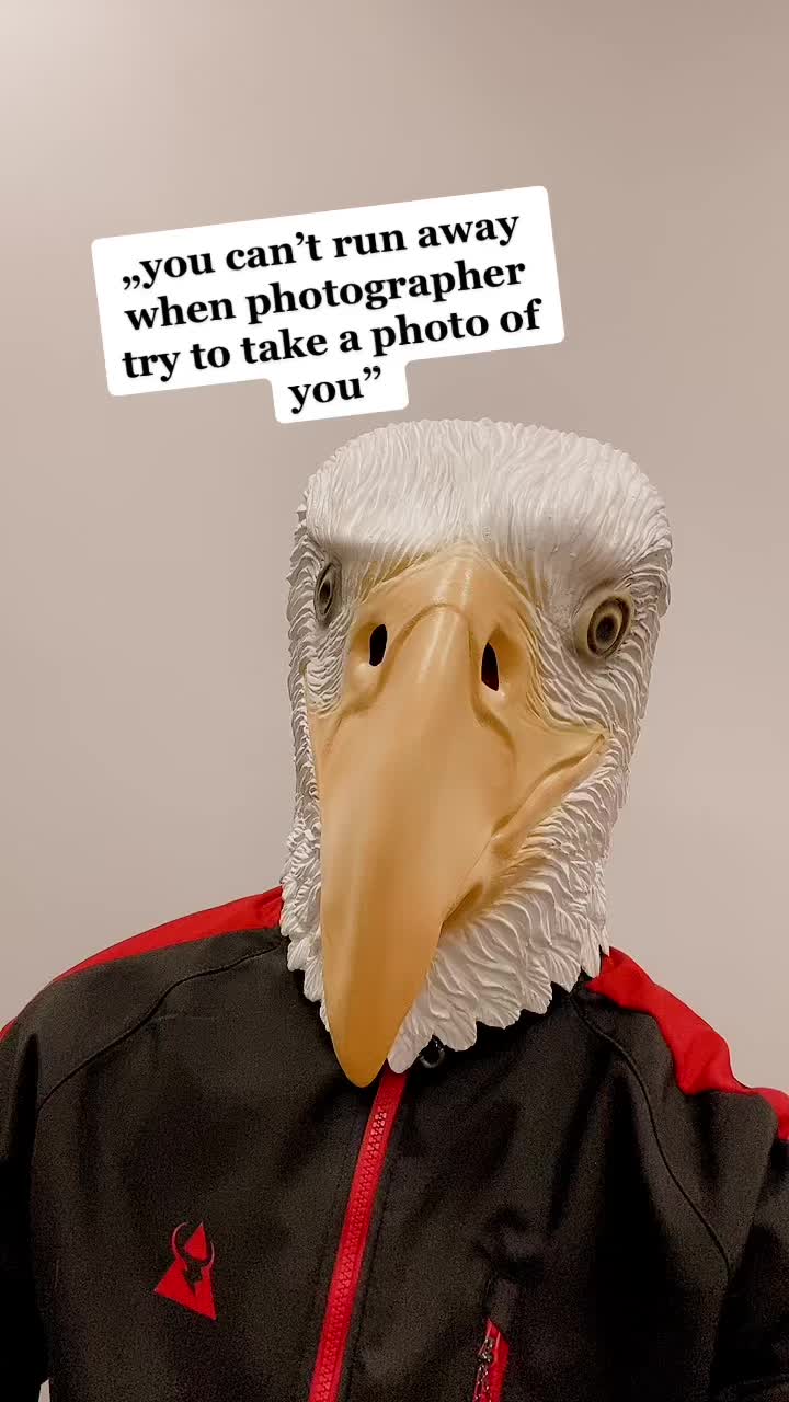 @BirdingSimulator