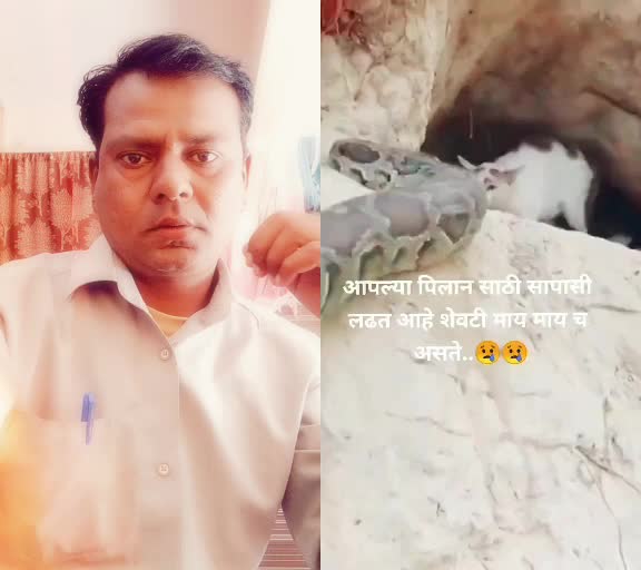 @Dilip Sonawane