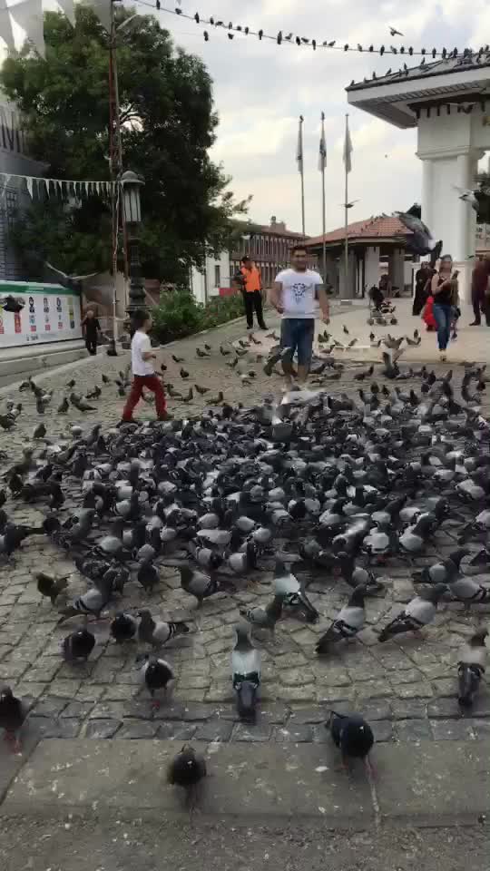 @Kenankurşun