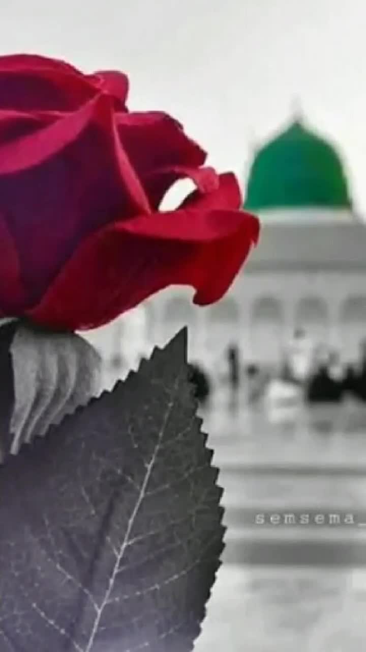 @🧕Queen7👑