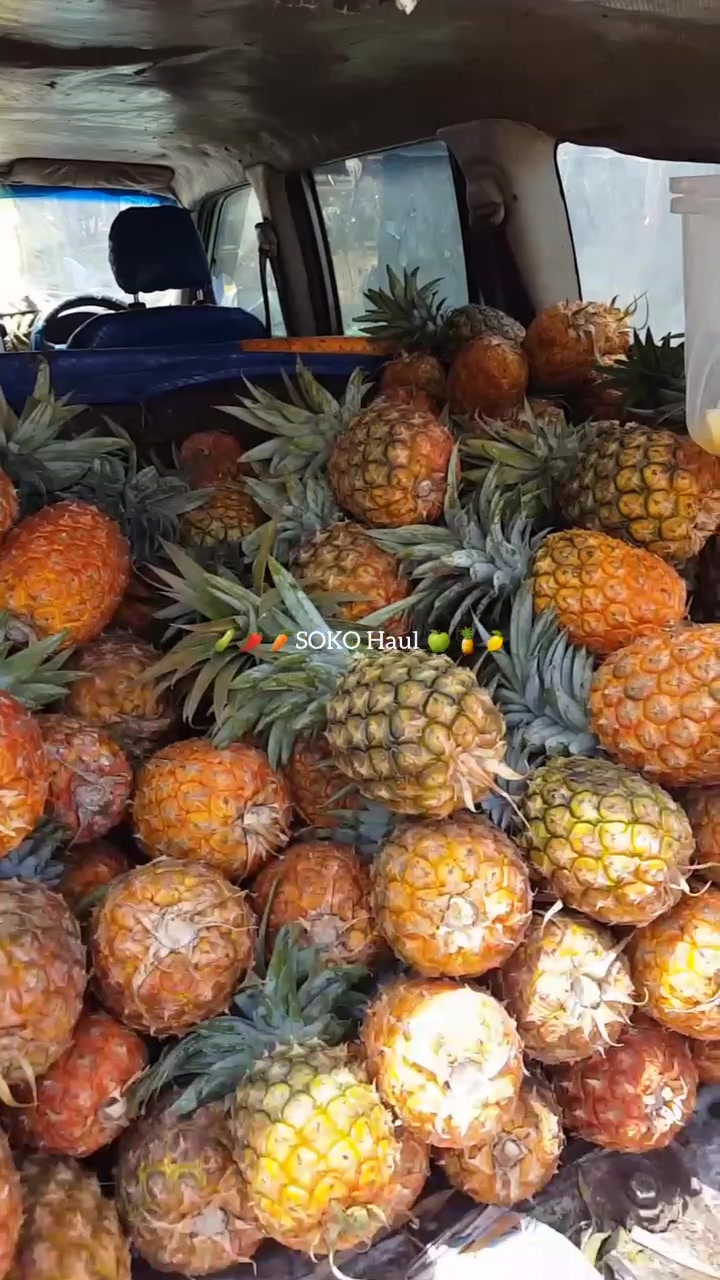 @DimpledDaisy🌼🌺