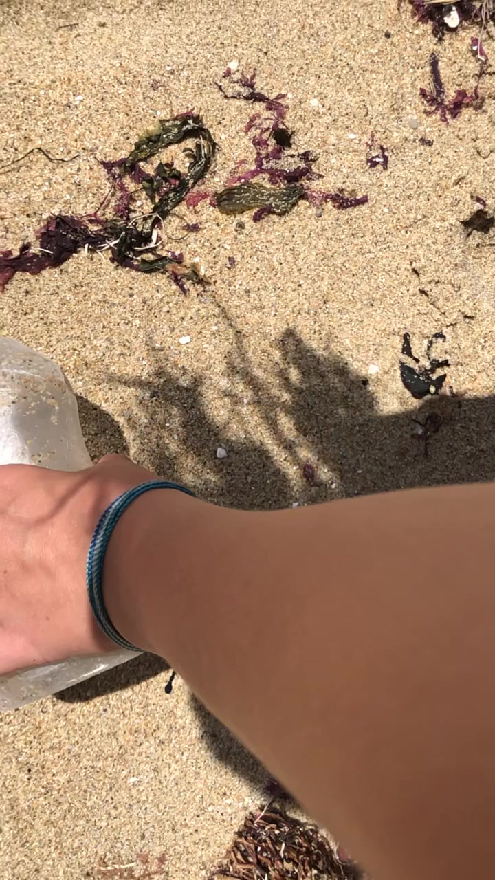 @🌊Aloha Gymnasts☀️