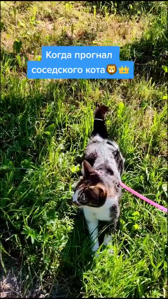 @marina65