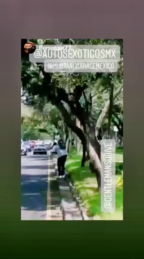 @mgaragemx