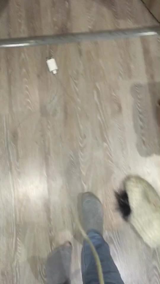 @Ксения Семёнова