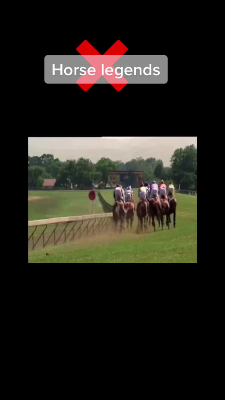 @🏇🏻 нorѕe rιdιng 🏇🏻