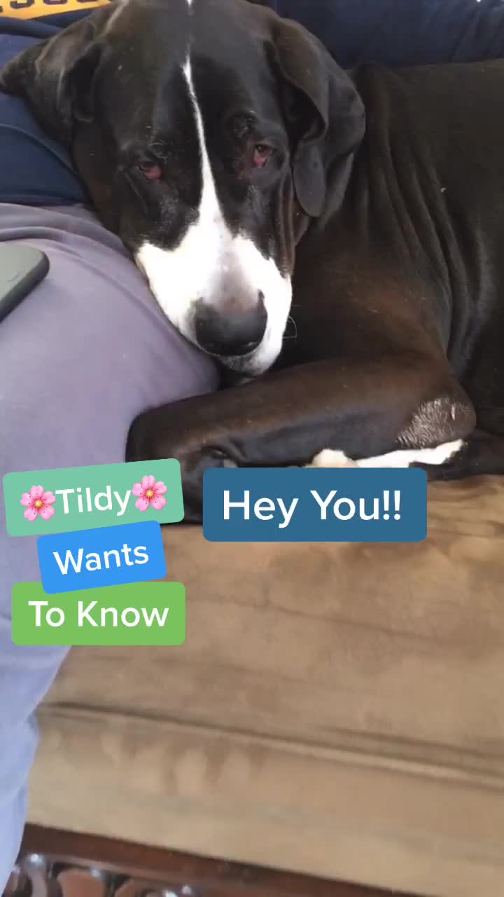 @Tildy