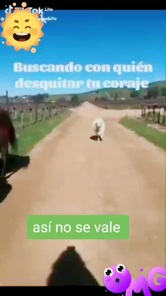 @TICTOKER OFICIAL YURI 🌴🌿🦜