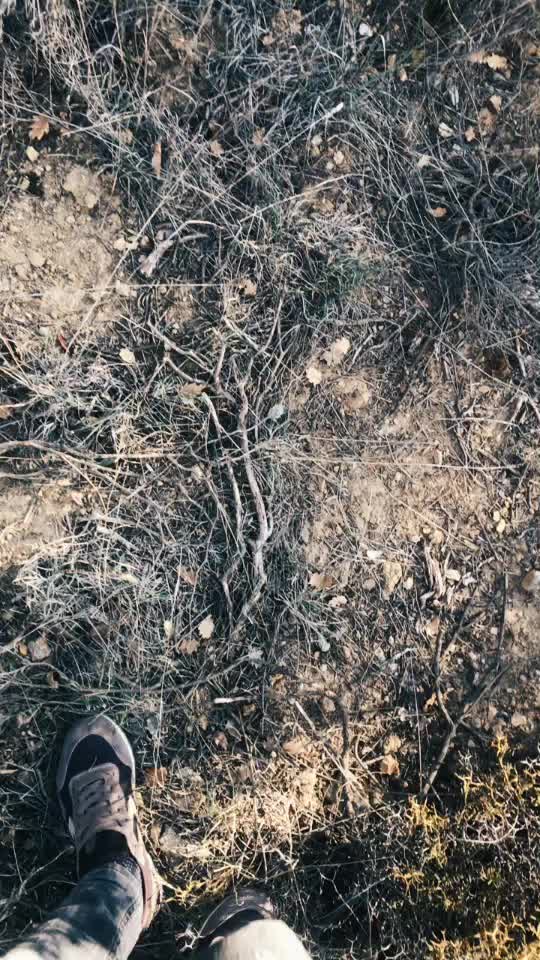 @Asım