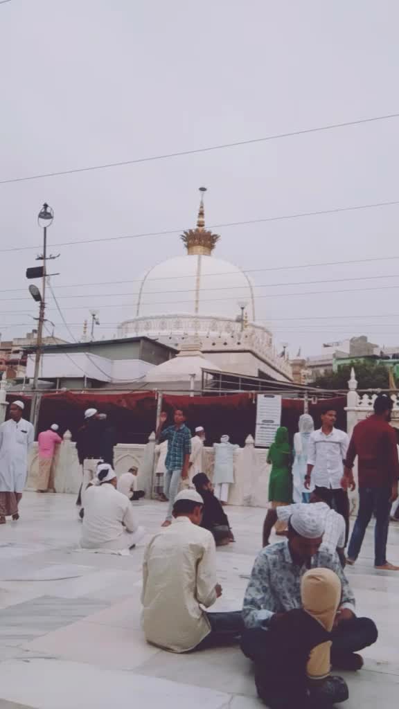 @tauqeershaikh2526