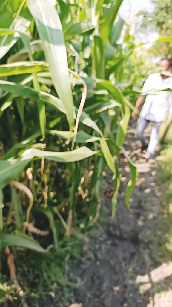 @विवेक शिंदे
