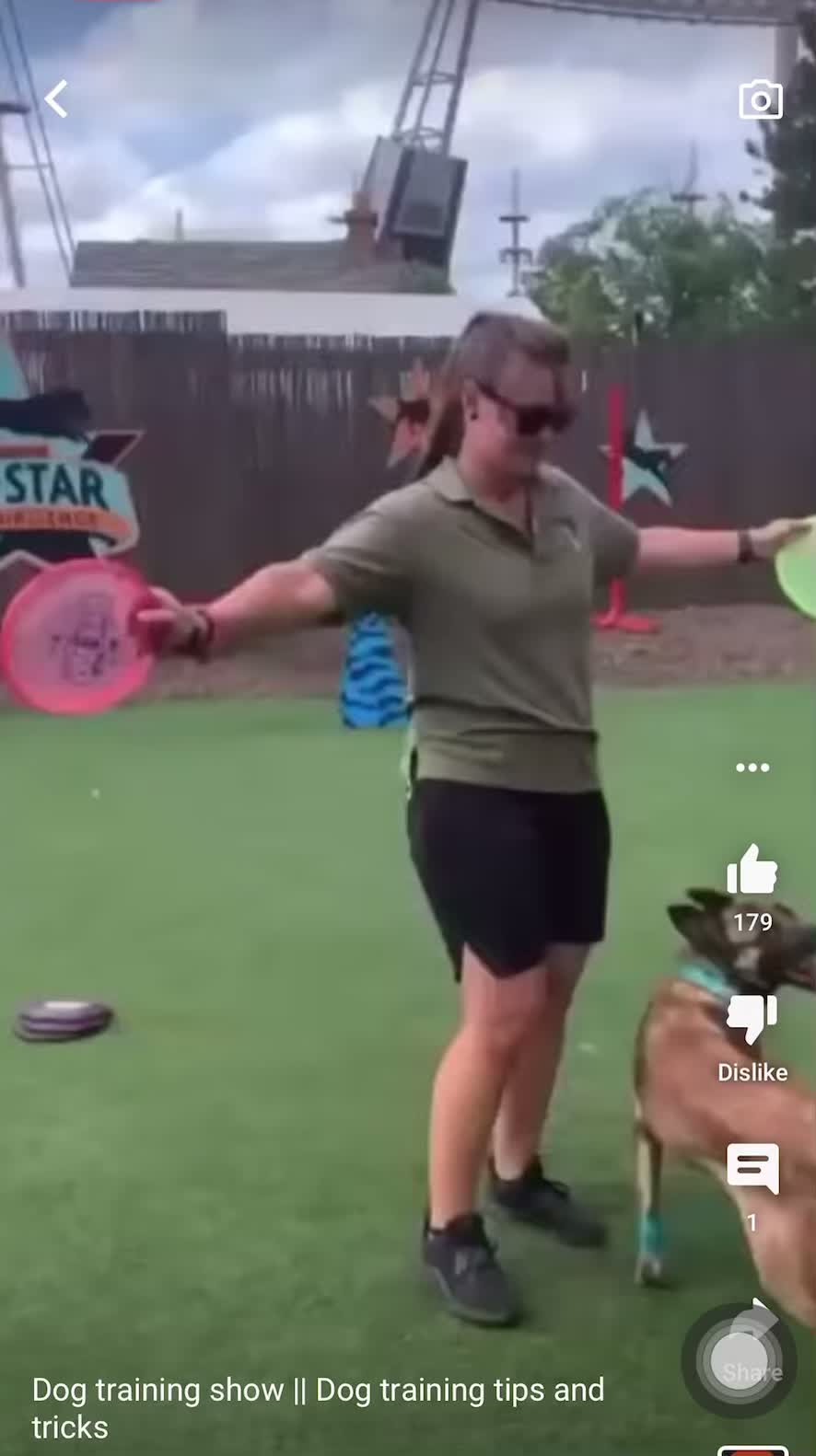 @davincitheamericanpitbull
