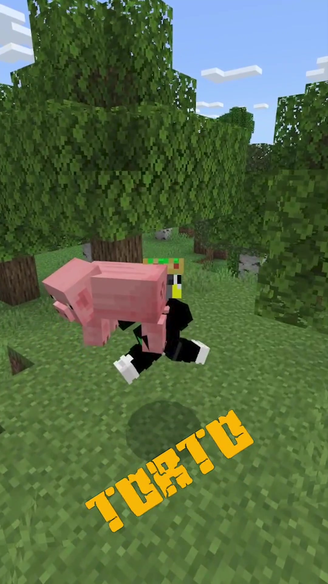 @MachisCraft