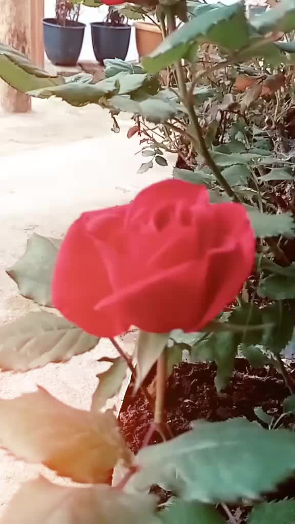 @Martina kee 546371