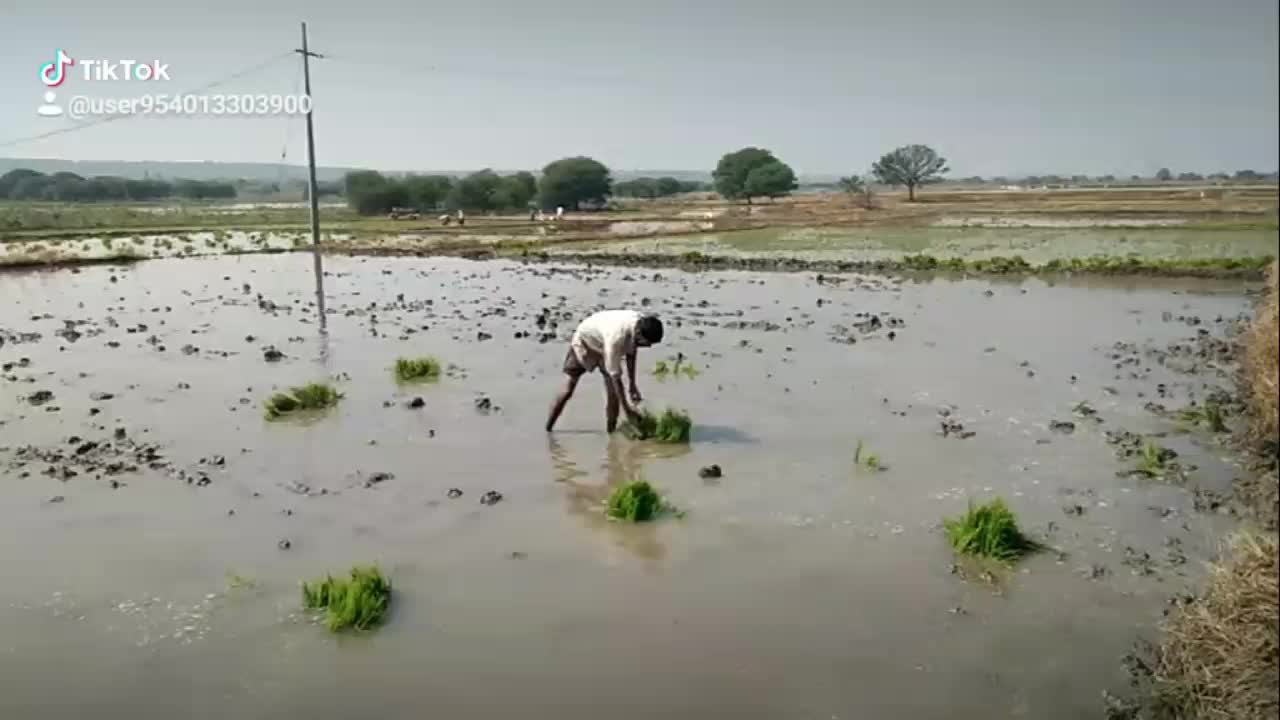 @laxman velmala