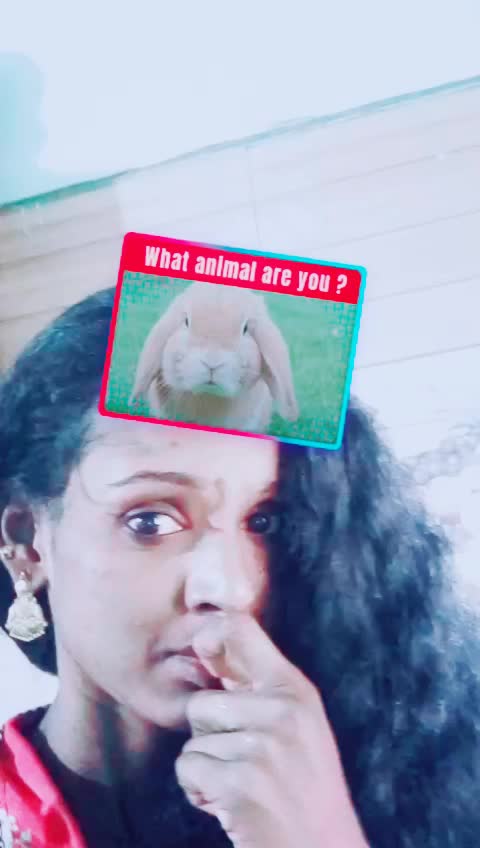 @user1279788483994