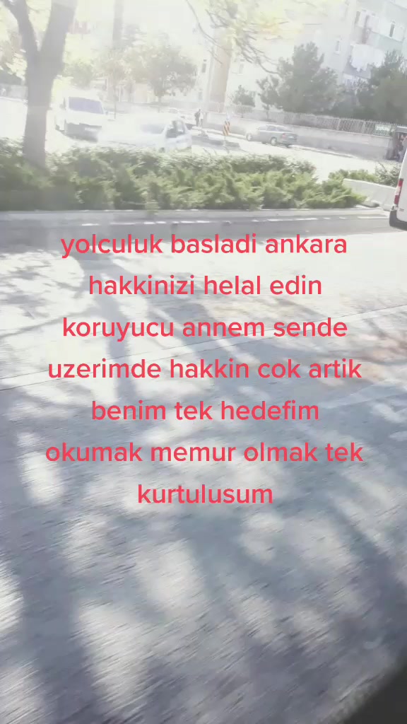 @hulya sevinc